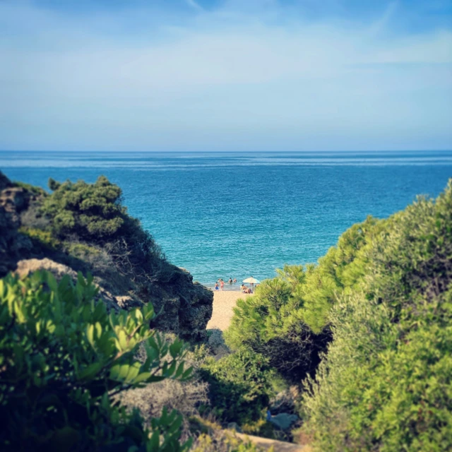 a path going to the ocean leading down to a beach