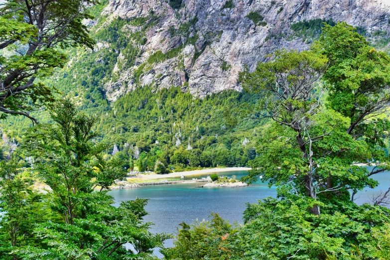 a mountain with trees and a river in front