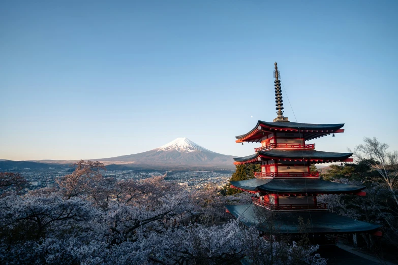 pagoda tower in front of snow - capped mountain