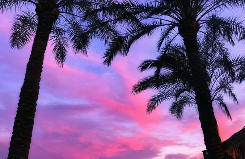 two tall palm trees against a beautiful sunset