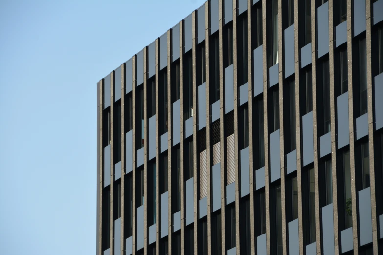 a bird flying on the side of a tall building