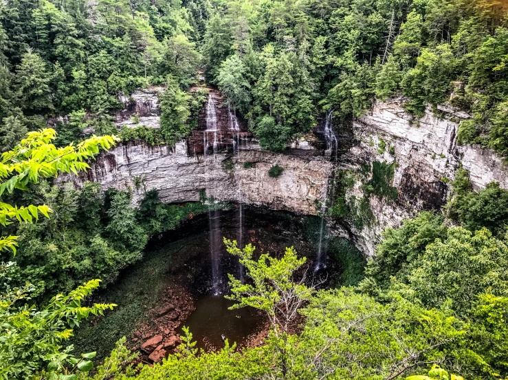 a bridge is spanning a river through a forested area