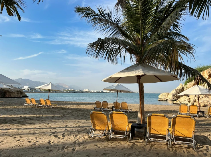 four yellow chairs and two umbrellas sit on a beach near the ocean