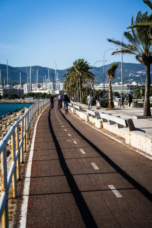 some people walking down a road on a nice day