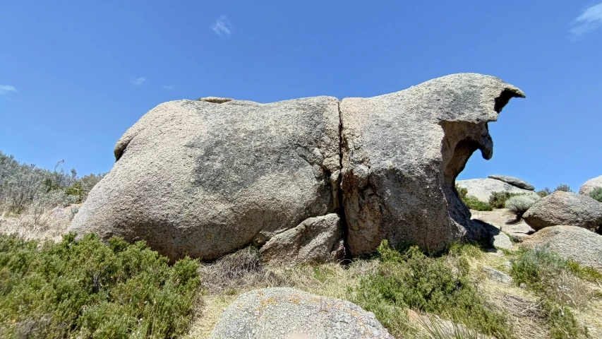 the large rocks have been carved into the shape of a bear