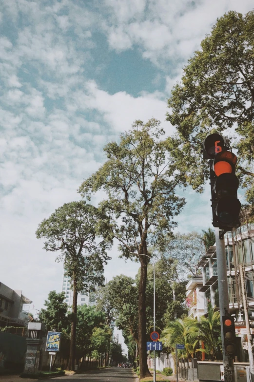 a traffic light on a street corner near many trees