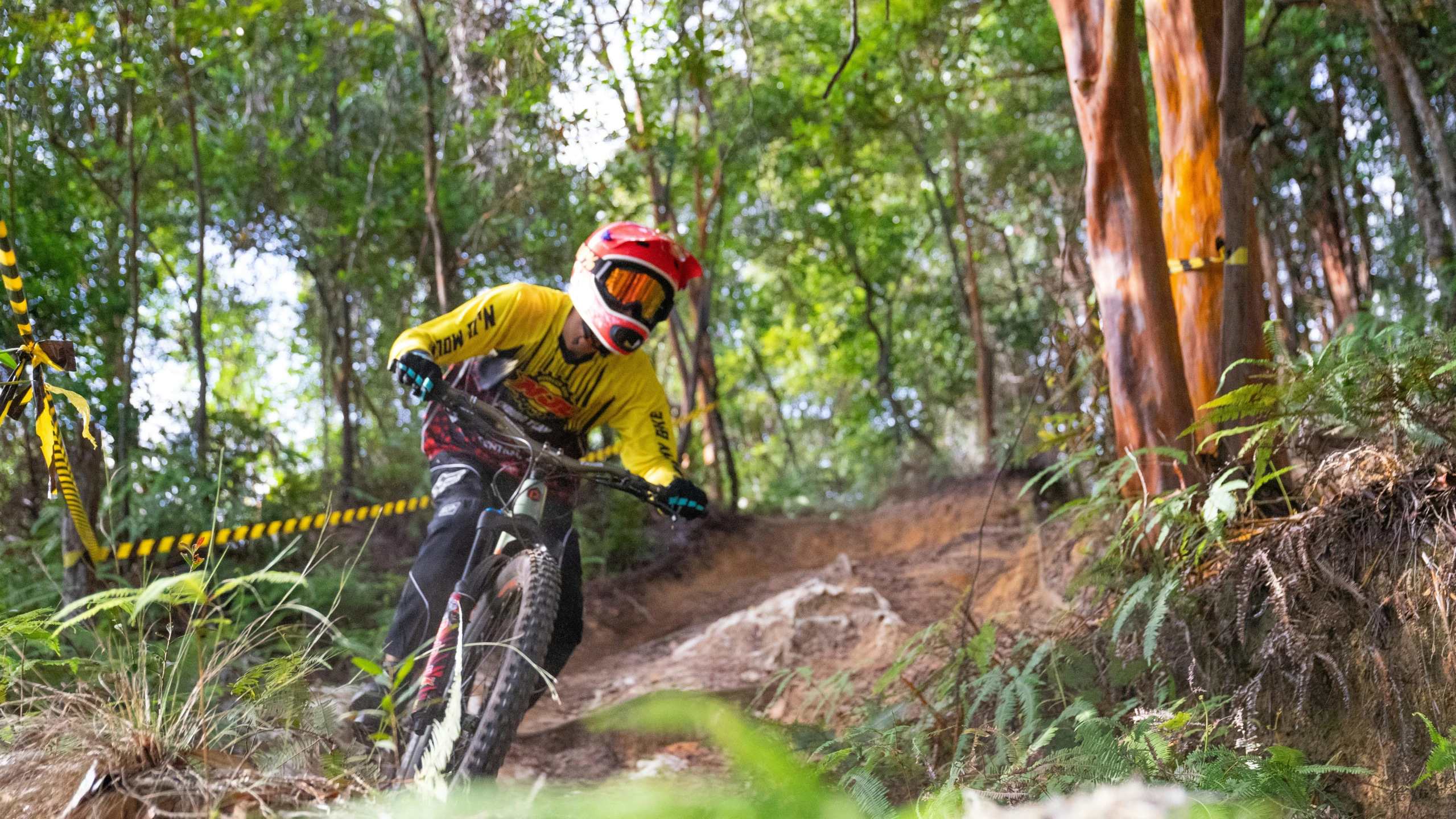 the cyclist is riding a dirt trail in the woods