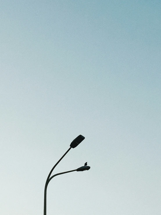 an empty road light next to a street sign