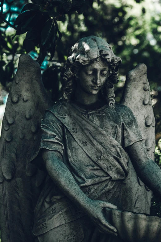 the angel statue is sitting among the green foliage