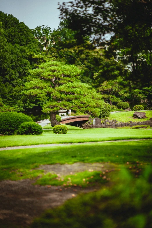 a green field that is sitting in the grass