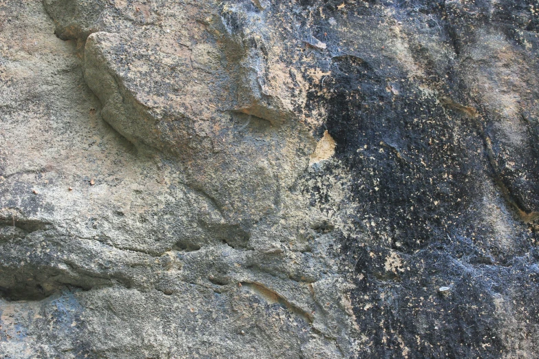 a rock with a red and yellow bird sitting on it