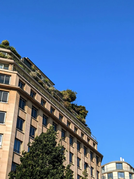 a building has many plants on the roof