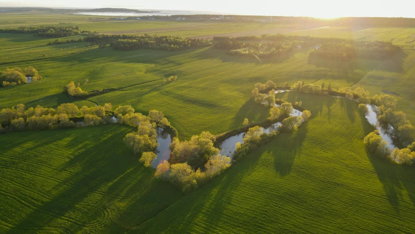 a beautiful green field next to some water