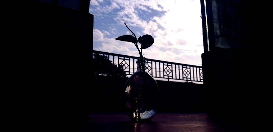 a vase in a darkened room with a railing and balcony in the background