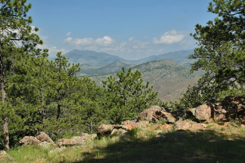 the view from the top of a mountain overlooking pine trees and mountains