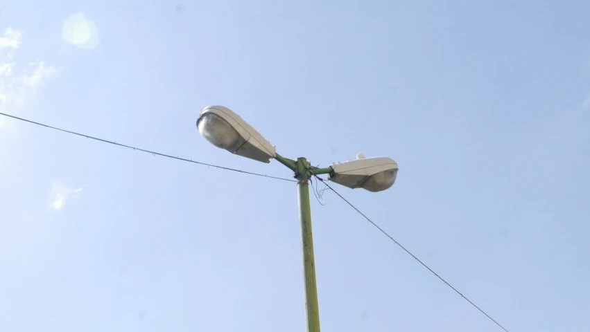 a white tennis shoe on a stick with a sky background