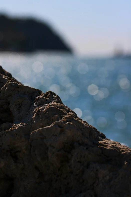 a small bird perched on the top of a rock