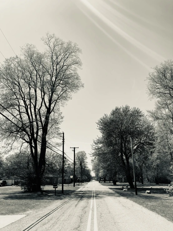 a road lined with lots of trees and poles