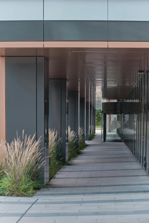 there is a hallway between the building and the sidewalk