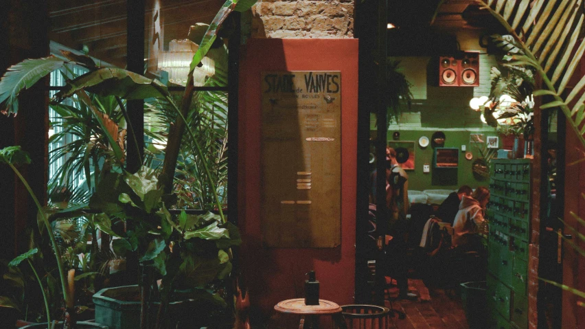 a green wall with a bunch of potted plants