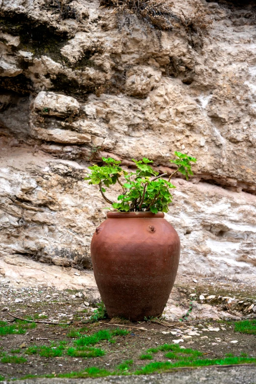 a red vase sitting in front of a rock face