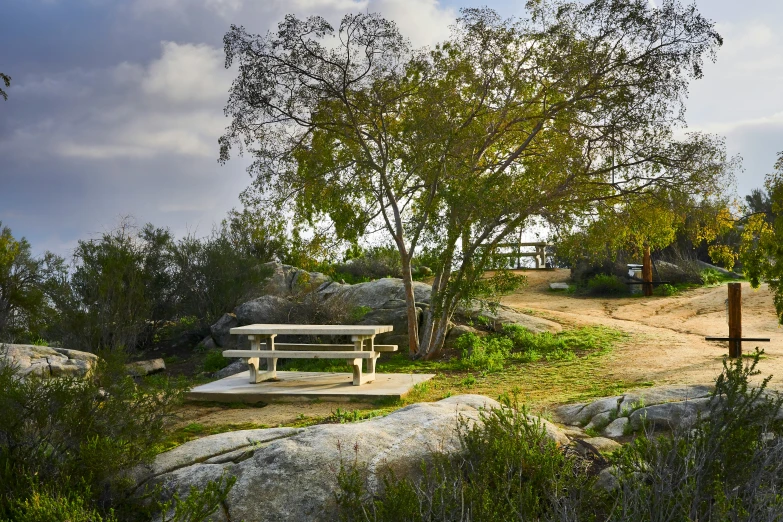 a large stone bench near a tree and rocks