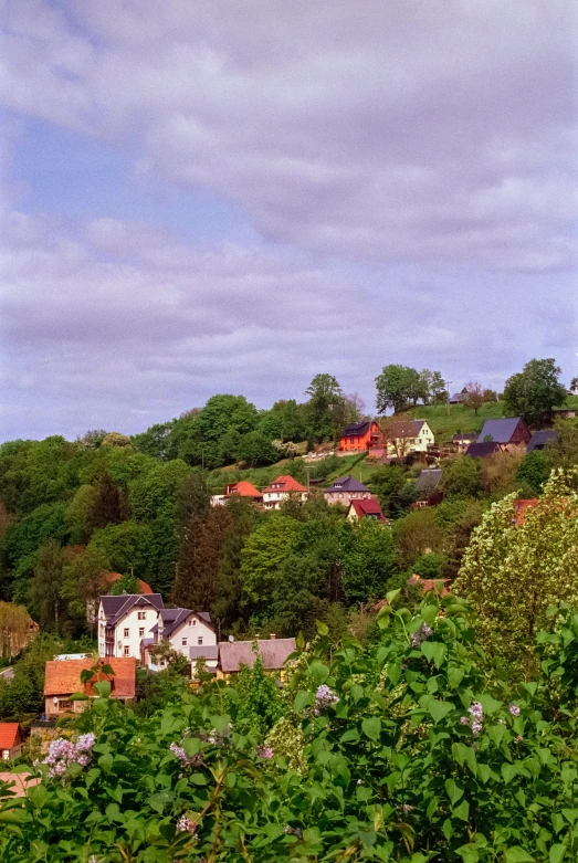 the village is situated on a hill above some trees
