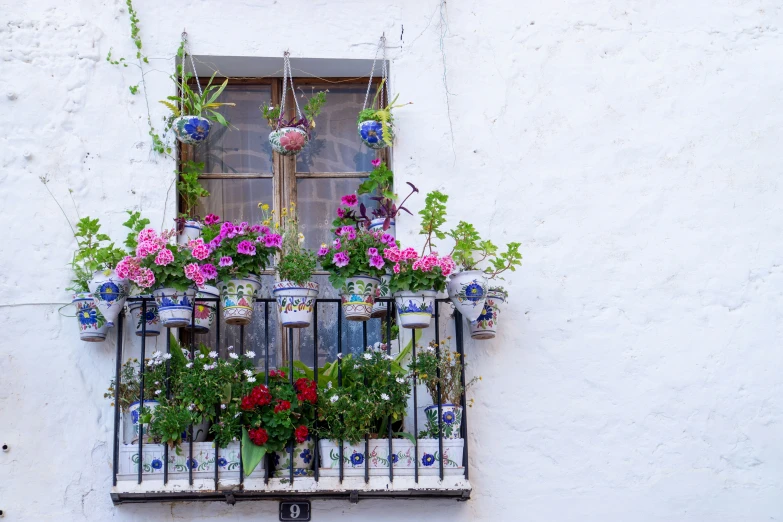 a set of three window sills holding potted flowers