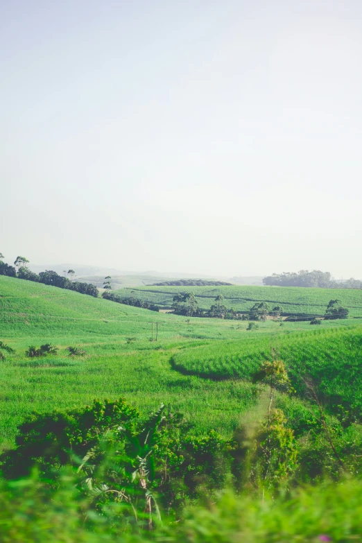 an open, grassy field with hills in the distance