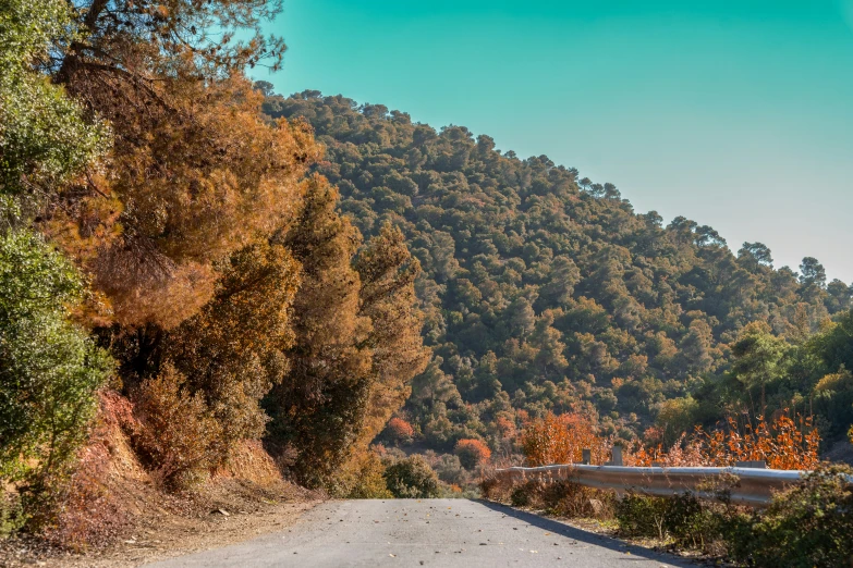 a large road has trees along the sides of it