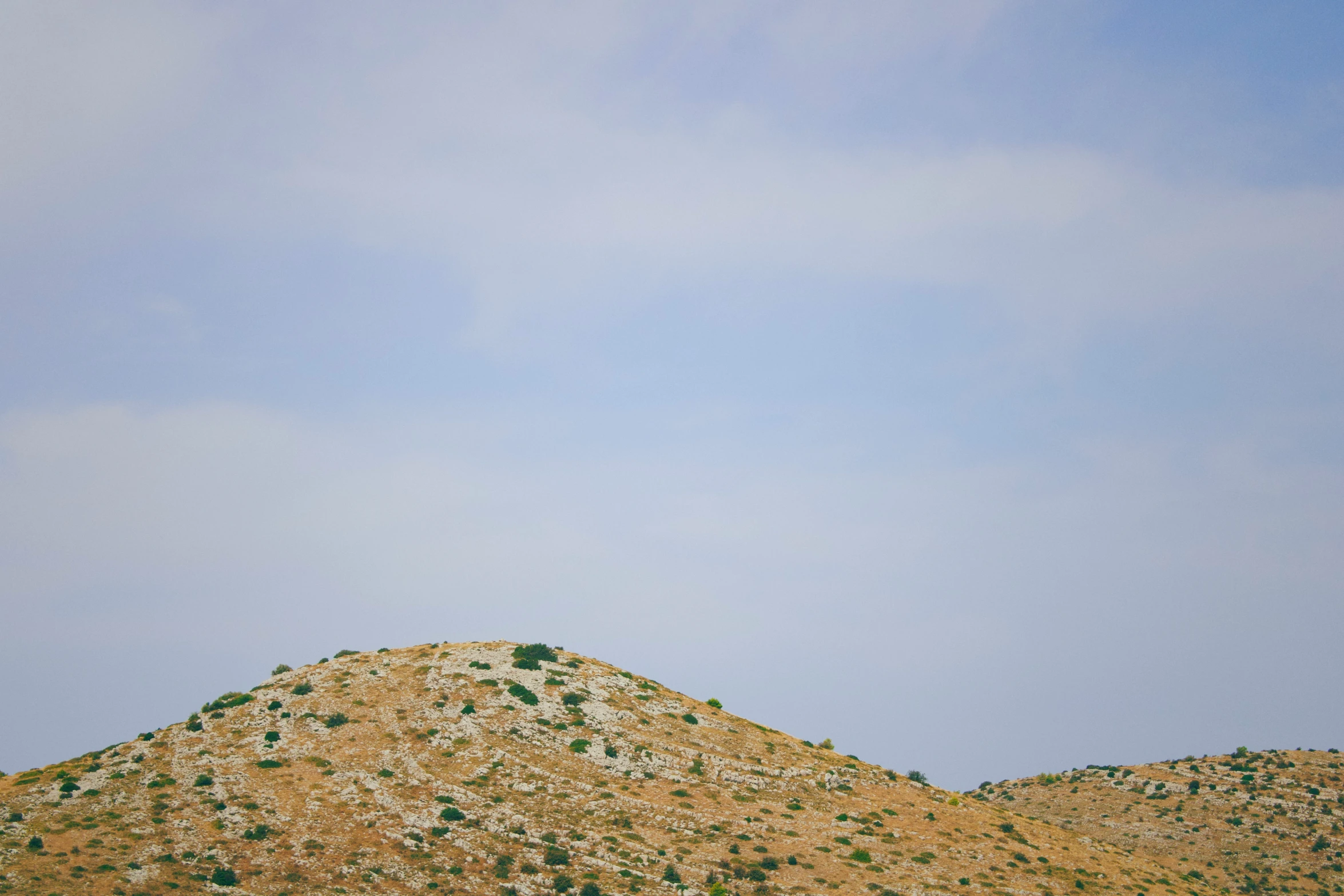 some trees and hill with very little vegetation