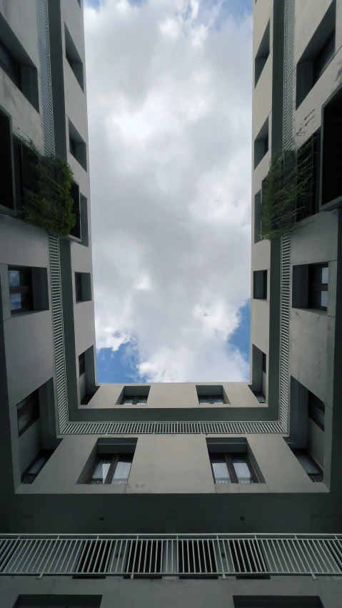 a po looking up at some buildings