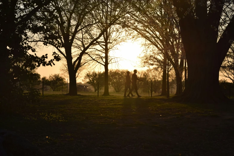 two people are standing in a park during sunset