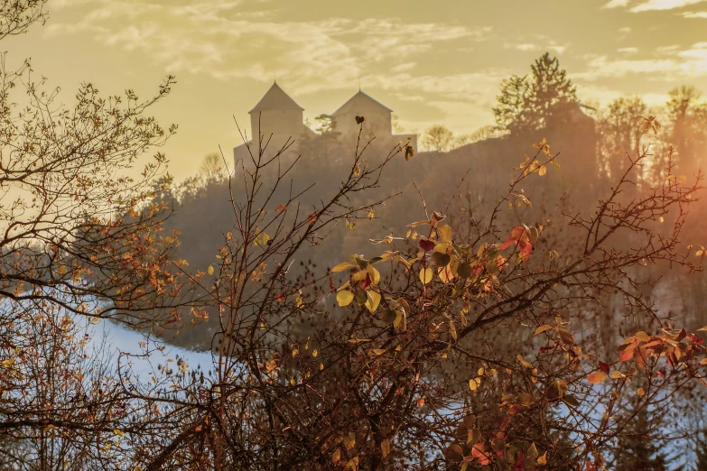 a beautiful scene with trees and water near a hill