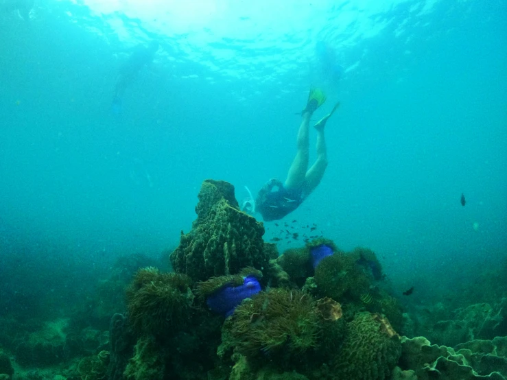 an image of man diving in the ocean