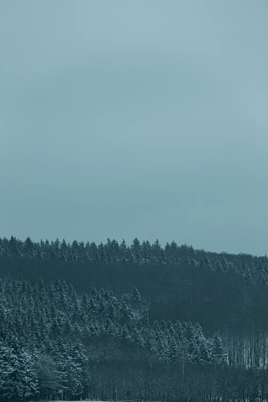 a po of some trees in a field