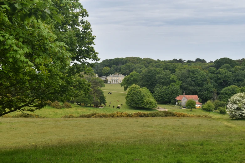 a large yard that has a big house in it