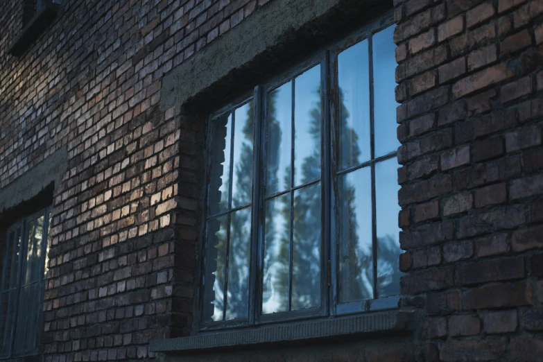 window with open and view to trees outside