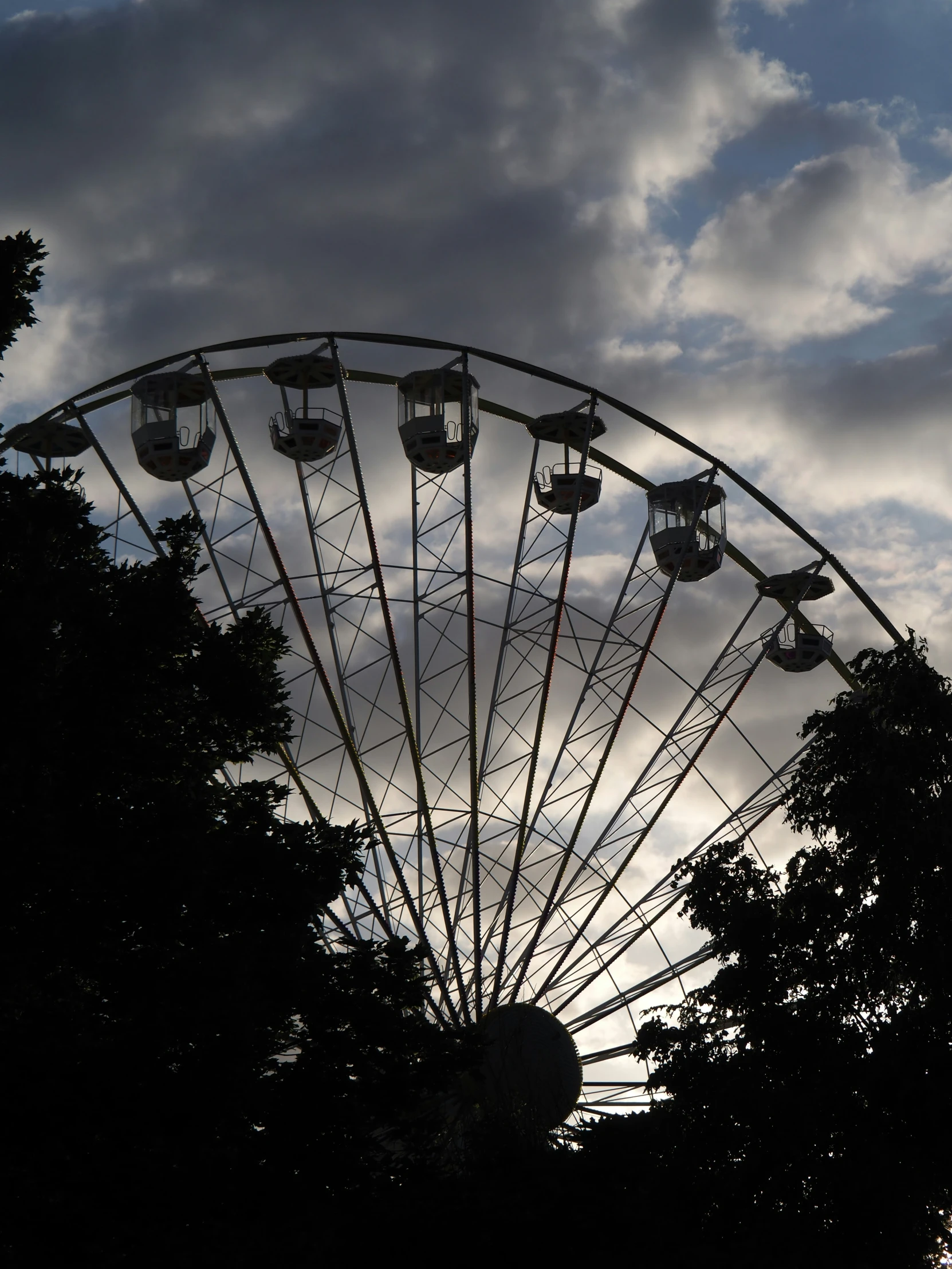 a ferris wheel in front of trees under a cloudy sky