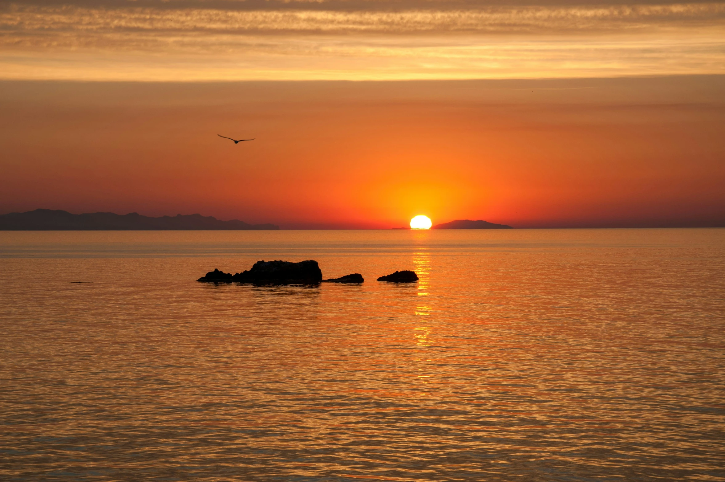 sunset with rocks on the beach and birds flying in the distance