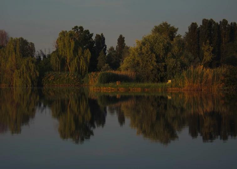 a pond with clear blue water surrounded by forest