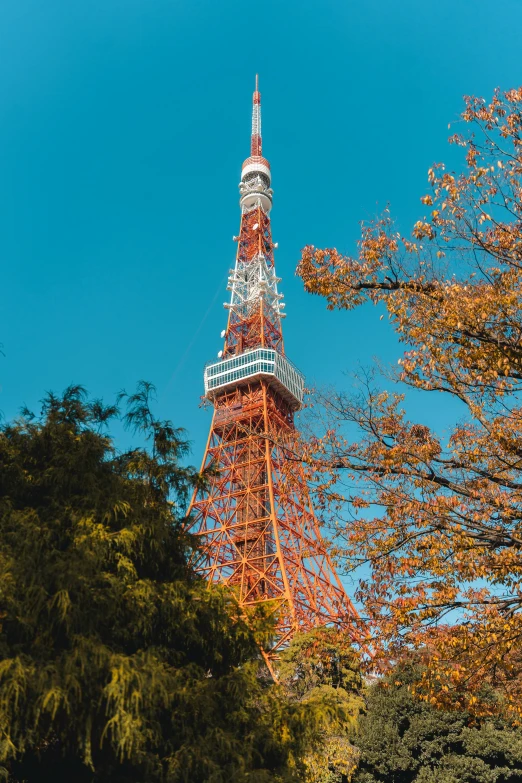 the eiffel tower is surrounded by tall trees