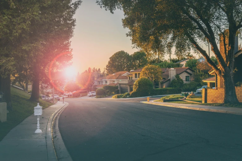 trees and houses line the edge of a city street