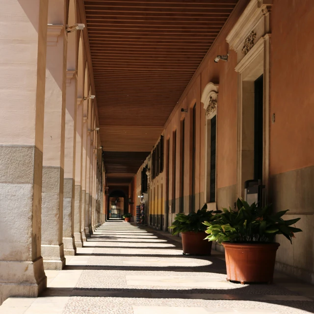 a row of planters are on the outside of a building