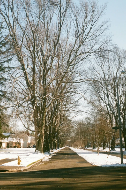 a road surrounded by snow covered trees on both sides