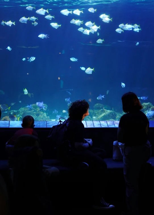 people standing in front of a large aquarium