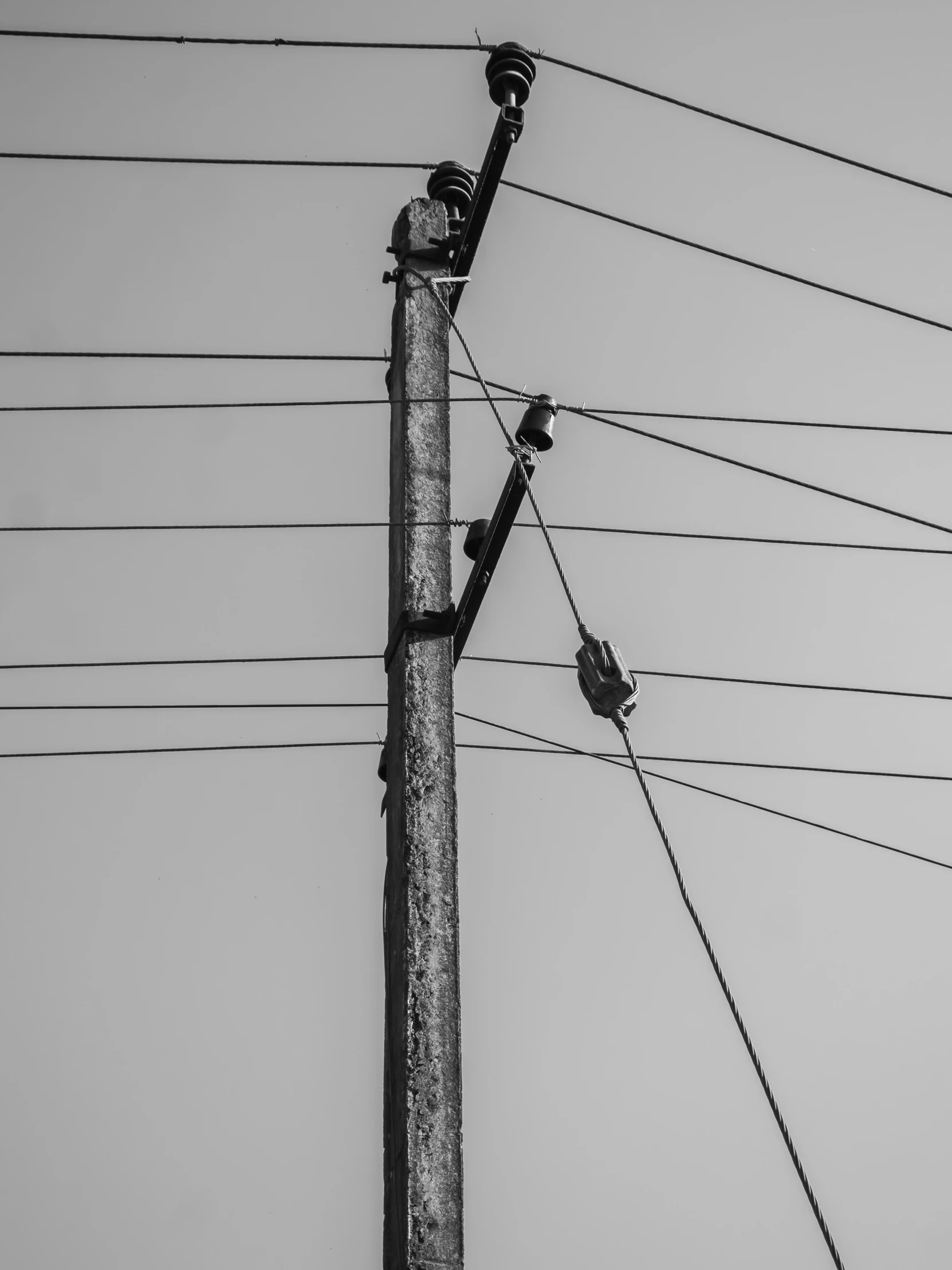 electric wires with black birds sitting on them