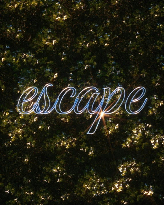 a sign that says escape surrounded by light strings