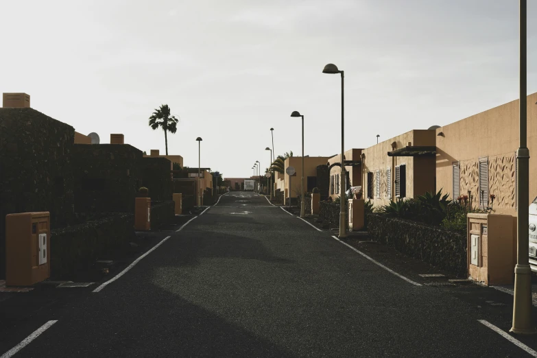 a deserted street lined with bushes and palm trees
