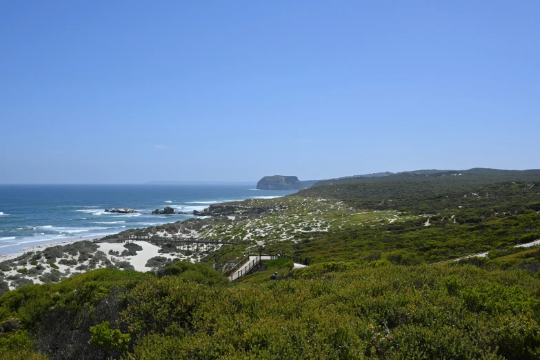 a hill near the ocean with houses and trees